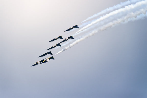 Breitling Jet Team 2015 (II)