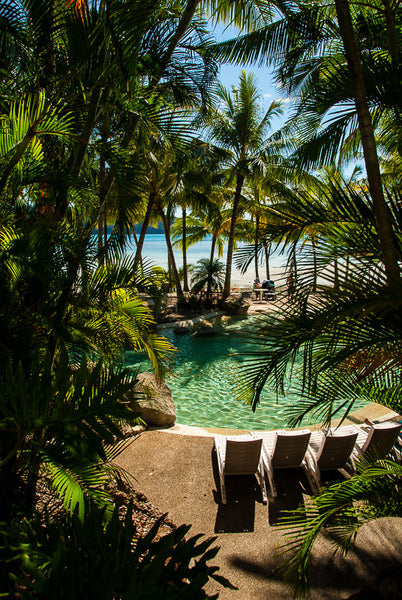 Four Seats in Paradise