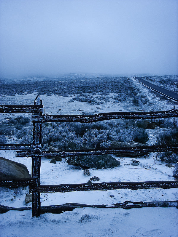 Frosted Road