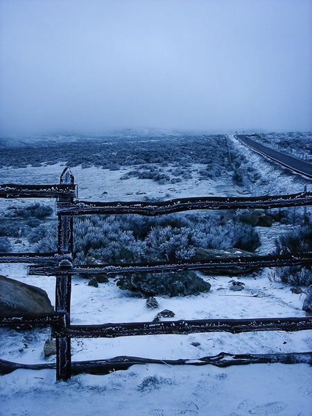 Frosted Road
