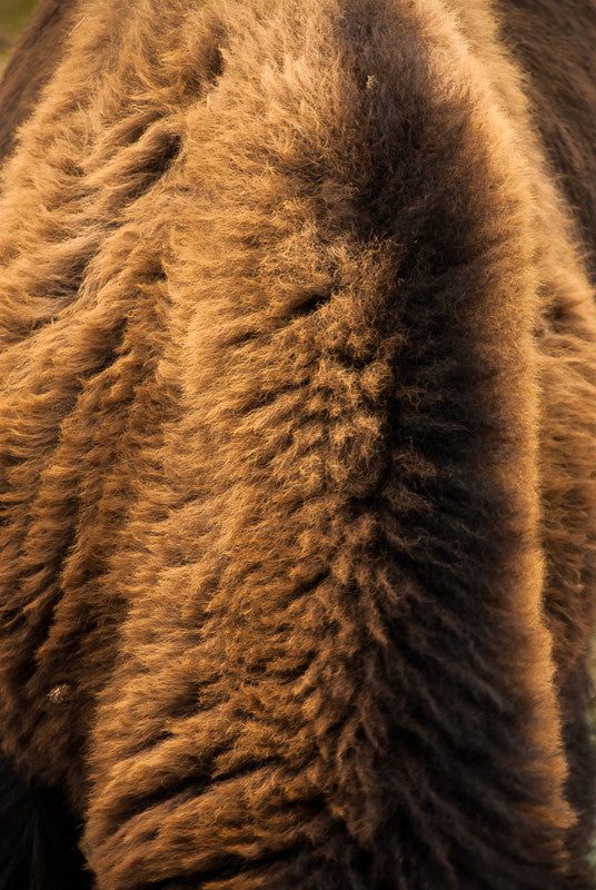Fur