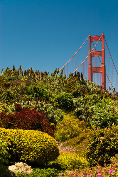 Golden Gate Gardens