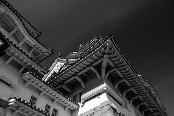 Himeji-jō Perspective