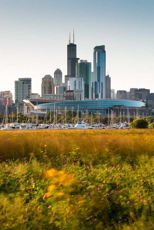 Summer Afternoon at Northerly Island