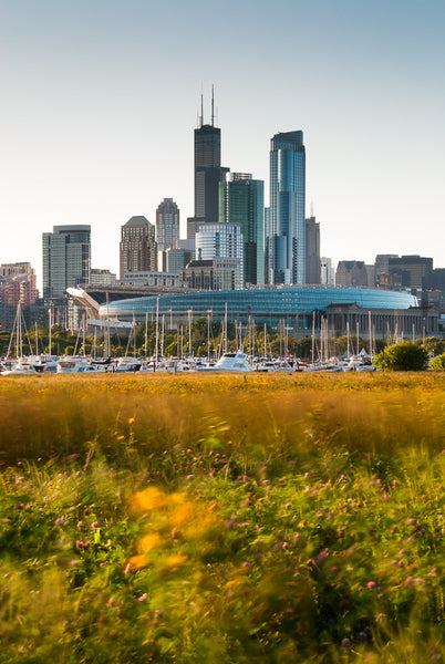 Summer Afternoon at Northerly Island