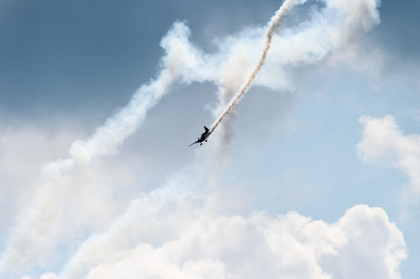 The 4CE Formation Team 2015 (I)