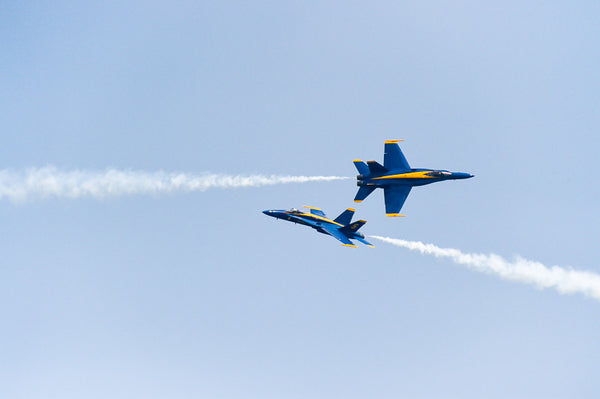 The U.S. Navy Blue Angels 2015 (IX)