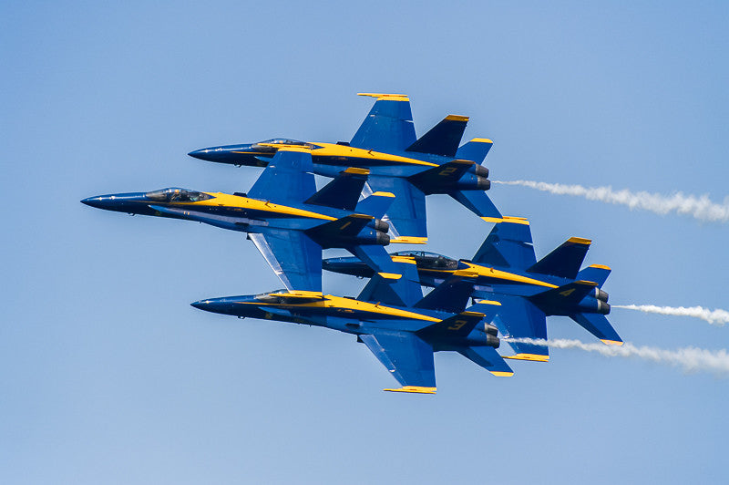 The U.S. Navy Blue Angels 2015 (I)