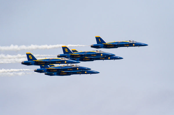The U.S. Navy Blue Angels 2015 (VIII)