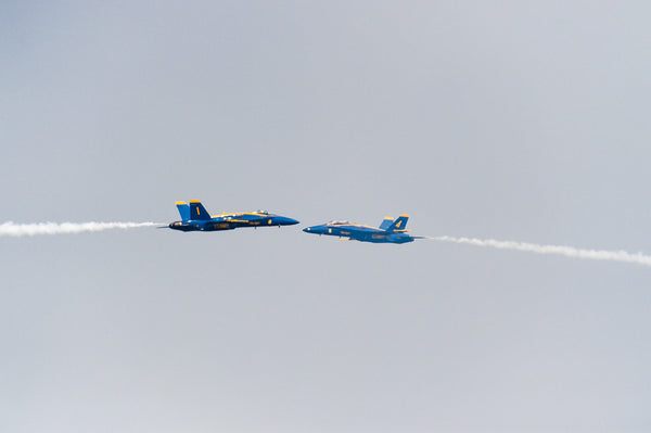 The U.S. Navy Blue Angels 2015 (XIV)